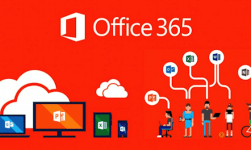 Microsoft 365 Training with TED Learning:  Elevate Your Skills Today